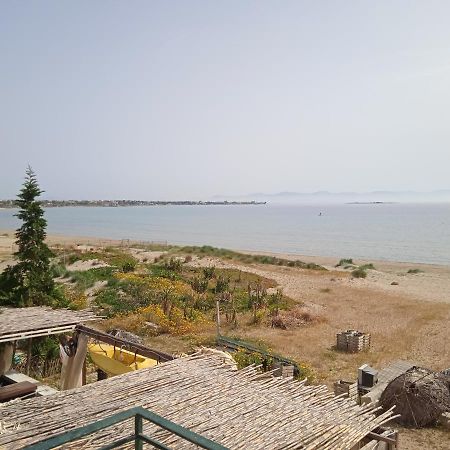 Apartment On The Beach Ártemida Kültér fotó